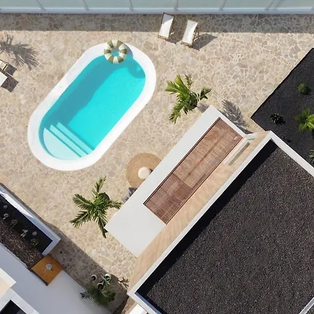 Noma - Design Space With Pool In *