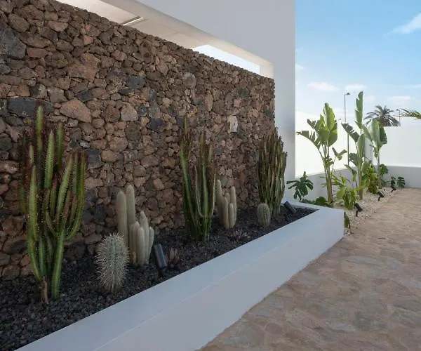 Noma - Design With Pool In - By Luna *